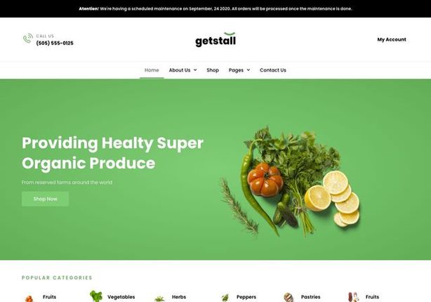 jasa bikin website taman